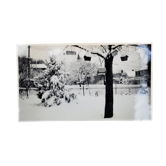 Vtg Snowy Day Bird Houses Covered in Snow Original Monochrome Photography 1960 - Picture 1 of 4